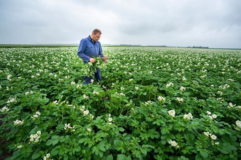 Boer Werner op het land