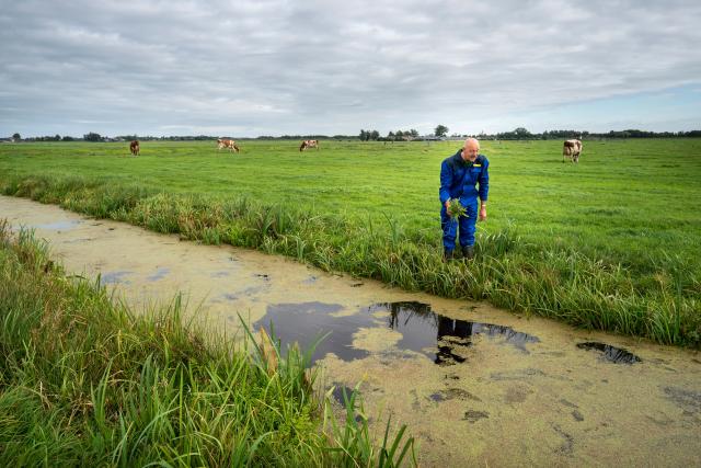 Boerderij de vooruitgang