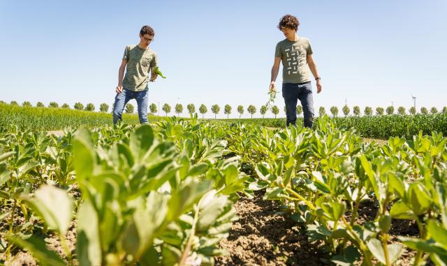 boeren samen aan het werk biologische landbouw