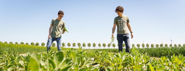 boeren samen aan het werk biologische landbouw.