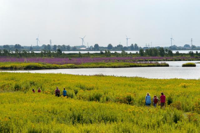 wandelende mensen in landschap